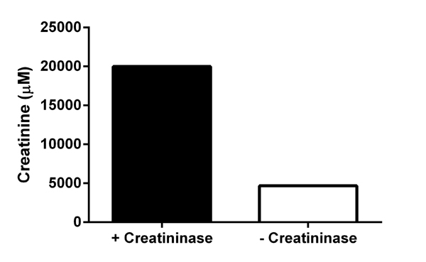 Creatinine Assay Kit