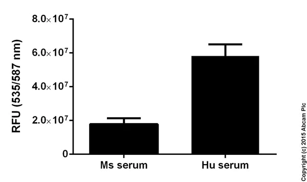 Functional Studies - Creatinine Assay Kit (AB65340)