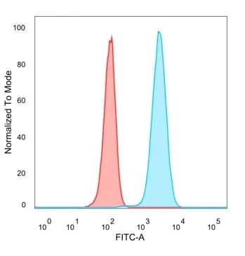 Flow Cytometry - Anti-CREB5 antibody [PCRP-CREB5-1G8] (AB277098)