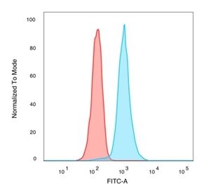Flow Cytometry - Anti-CREB5 antibody [PCRP-CREB5-1G8] (AB277098), expandable thumbnail