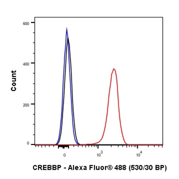 Flow Cytometry (Intracellular) - Anti-CREBBP antibody [EPR23418-23] - ChIP Grade - BSA and Azide free (AB283283)