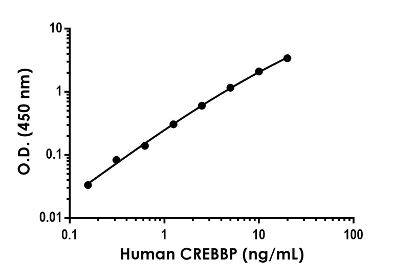Sandwich ELISA - Anti-CREBBP antibody [EPR24022-16] - BSA and Azide free (Detector) (AB305182)