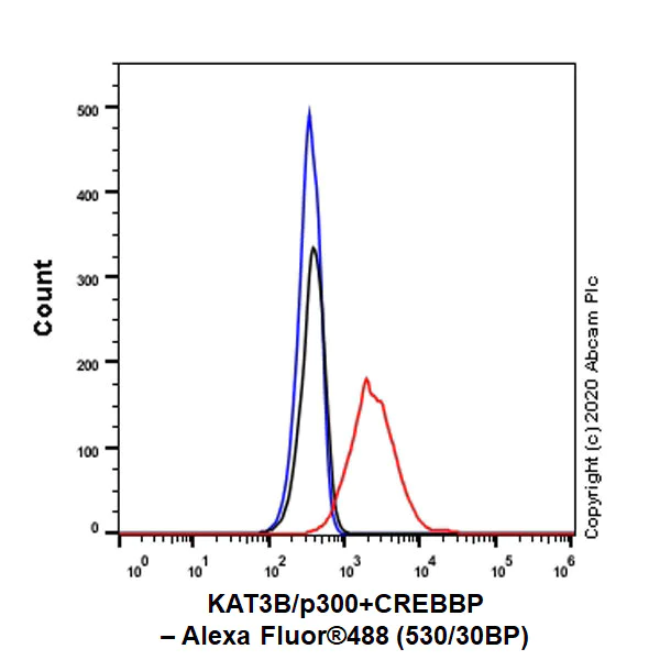 Flow Cytometry (Intracellular) - Anti-CREBBP + KAT3B / p300 antibody [EPR23495-276] - BSA and Azide free (AB275389)