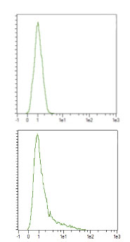 Flow Cytometry - Anti-CRISPR-Cas9 antibody (AB204448)
