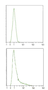 Flow Cytometry - Anti-CRISPR-Cas9 antibody (AB204448)