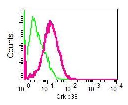 Flow Cytometry (Intracellular) - Anti-Crk p38 antibody [EPR4984(2)] (AB133581)