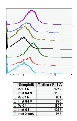 Flow Cytometry - Anti-CrkL (phospho Y207) antibody [CrkLY207-G4] (AB278698)