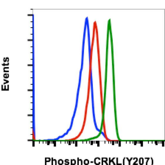 Flow Cytometry - Anti-CrkL (phospho Y207) antibody [CrkLY207-G4] (AB278698)
