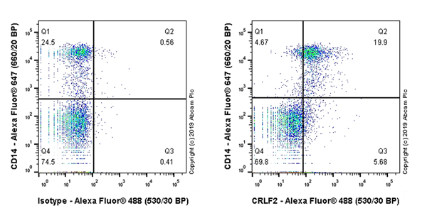 Flow Cytometry - Anti-CRLF2 antibody [EPR22478-133] - BSA and Azide free (AB256305), expandable thumbnail
