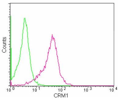 Flow Cytometry (Intracellular) - Anti-CRM1 antibody [EPR14123(B)] (AB180144), expandable thumbnail