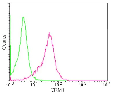 Flow Cytometry (Intracellular) - Anti-CRM1 antibody [EPR14123(B)] (AB180144)