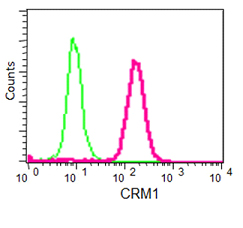 Flow Cytometry (Intracellular) - Anti-CRM1 antibody [EPR14124] - BSA and Azide free (AB251055), expandable thumbnail