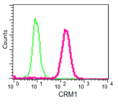 Flow Cytometry (Intracellular) - Anti-CRM1 antibody [EPR14124] - BSA and Azide free (AB251055)