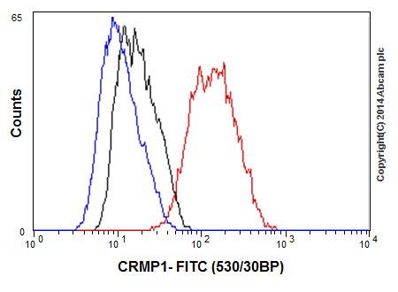 Flow Cytometry (Intracellular) - Anti-CRMP1 antibody [EP14521] - BSA and Azide free (ab251288), expandable thumbnail