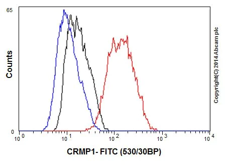 Flow Cytometry (Intracellular) - Anti-CRMP1 antibody [EP14521] - BSA and Azide free (AB251288)