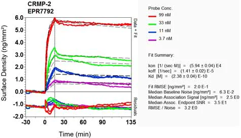 OI-RD Scanning - Anti-CRMP1 + CRMP2 antibody [EPR7792] (AB129082)