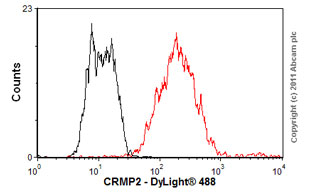 Flow Cytometry - Anti-CRMP2 antibody [1B1] (AB62539)