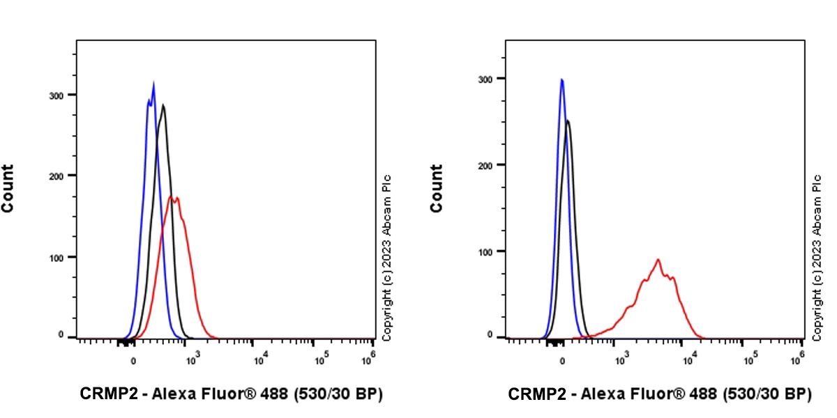 Flow Cytometry (Intracellular) - Anti-CRMP2 antibody [EPR28480-66] (ab315285), expandable thumbnail