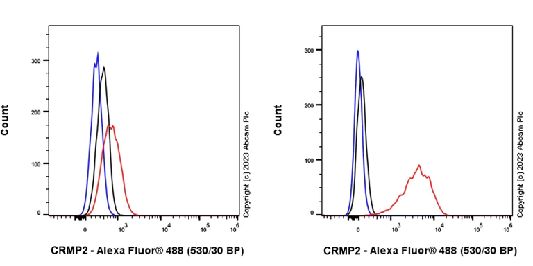 Flow Cytometry (Intracellular) - Anti-CRMP2 antibody [EPR28480-66] - BSA and Azide free (AB315286)