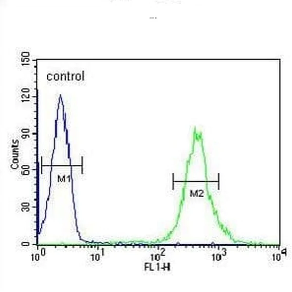 Flow Cytometry (Intracellular) - Anti-CRP-1 antibody - C-terminal (AB211631)