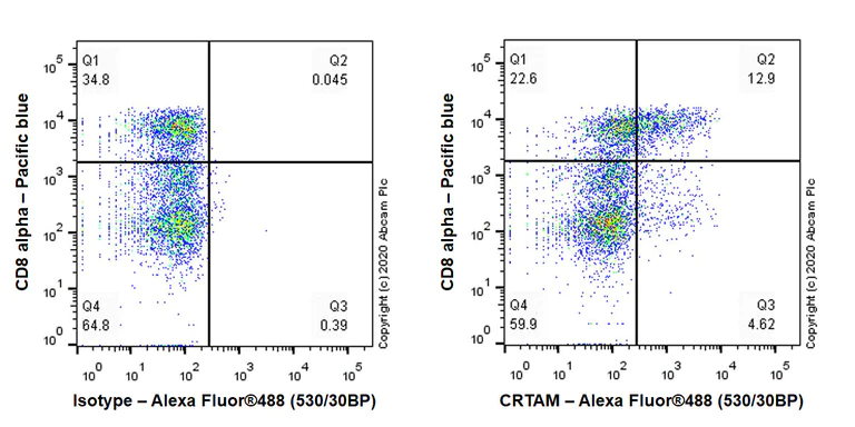 Flow Cytometry - Anti-CRTAM antibody [EPR23786-12] (AB272723)