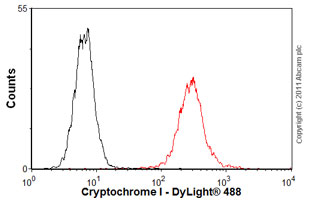 Flow Cytometry - Anti-Cryptochrome I/CRY1 antibody [4H4-1C4] (AB54649), expandable thumbnail