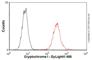 Flow Cytometry - Anti-Cryptochrome I/CRY1 antibody [4H4-1C4] (AB54649)