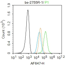 Flow Cytometry - Anti-CSF-1-R antibody (AB215441)