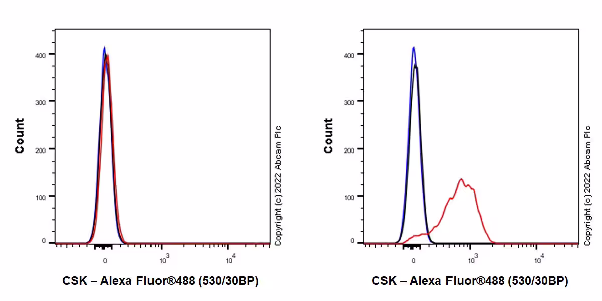 Flow Cytometry (Intracellular) - Anti-CSK antibody [EPR24673-97] (BSA and Azide free) (AB300133), expandable thumbnail