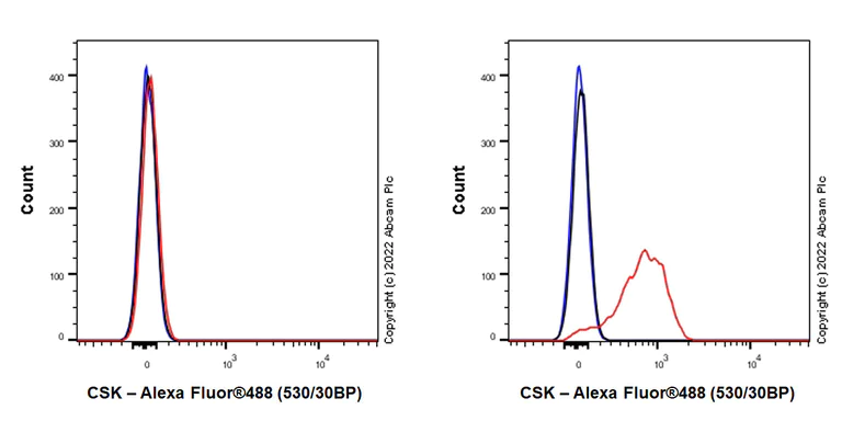Flow Cytometry (Intracellular) - Anti-CSK antibody [EPR24673-97] (BSA and Azide free) (AB300133)