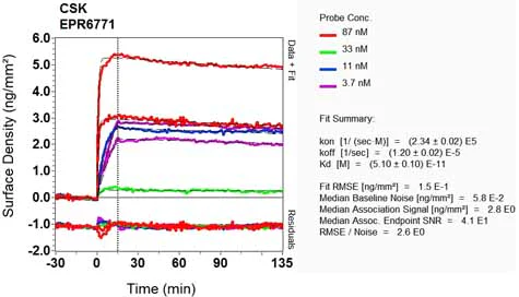 OI-RD Scanning - Anti-CSK antibody [EPR6771] - BSA and Azide free (AB248095)