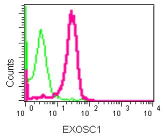 Flow Cytometry (Intracellular) - Anti-CSL4 antibody [EPR13525] - BSA and Azide free (AB250393)