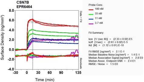 OI-RD Scanning - Anti-CSN7b antibody [EPR6464] (AB133548)