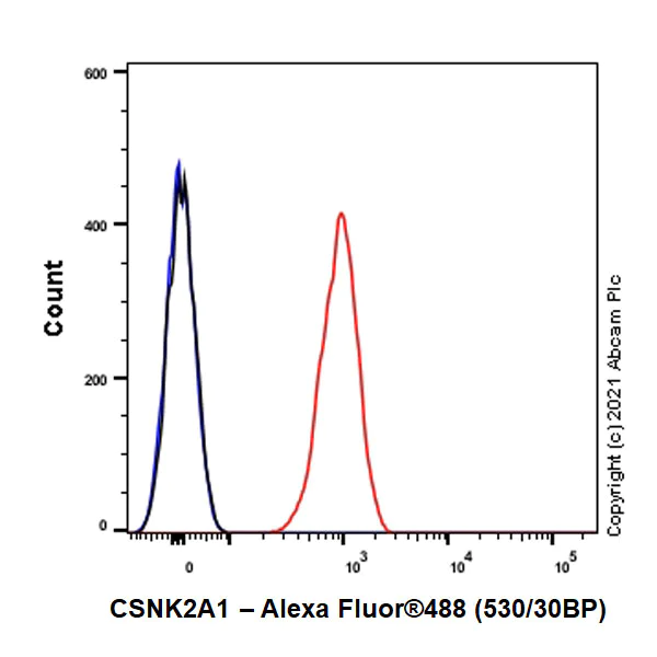 Flow Cytometry (Intracellular) - Anti-CSNK2A1 antibody [EP1963Y] - BSA and Azide free (AB239873)