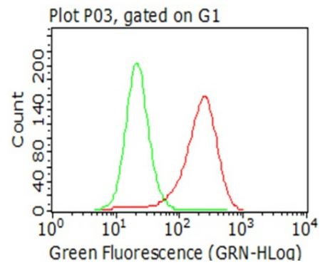 Flow Cytometry - Anti-CTAG1B antibody [OTI4D8] - BSA and Azide free (ab275373), expandable thumbnail