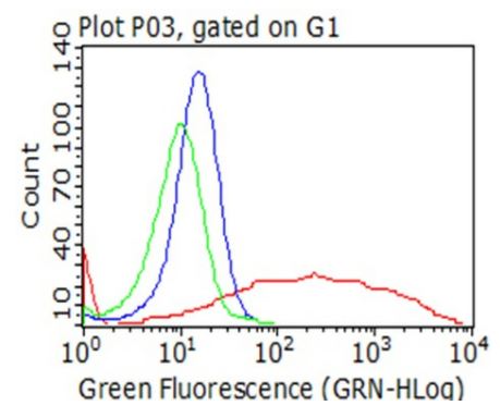 Flow Cytometry - Anti-CTAG1B antibody [OTI4D8] - BSA and Azide free (AB275373), expandable thumbnail