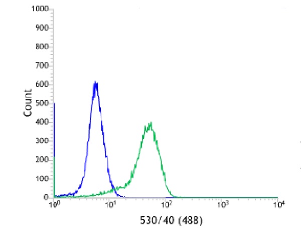 Flow Cytometry - Anti-CTAG1B antibody [SP349] - BSA and Azide free (AB242416), expandable thumbnail