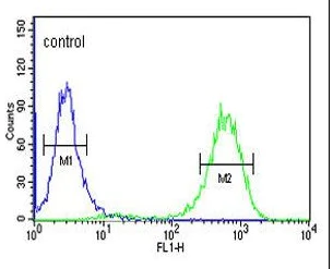 Flow Cytometry (Intracellular) - Anti-CTC1 antibody (AB230538)