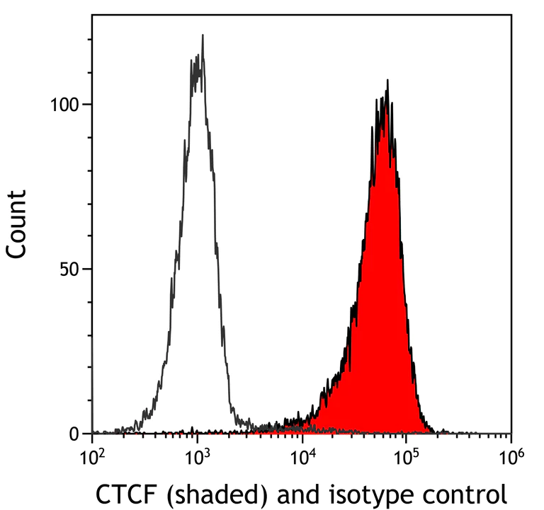 Flow Cytometry - Anti-CTCF antibody [BLR041F] (AB243897)