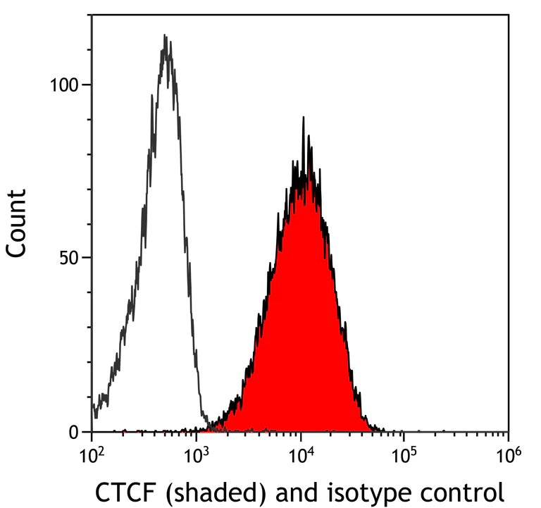 Flow Cytometry - Anti-CTCF antibody [BLR041F] (AB243897)