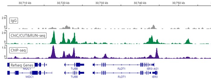 ChIC/CUT&RUN sequencing - Anti-CTCF antibody [EPR18253] - ChIP Grade (ab188408), expandable thumbnail