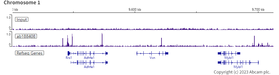 ChIP-sequencing - Anti-CTCF antibody [EPR18253] - ChIP Grade (ab188408), expandable thumbnail