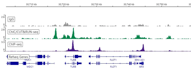 ChIC/CUT&RUN sequencing - Anti-CTCF antibody [EPR7314(B)] - ChIP Grade (AB128873)