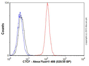 Flow Cytometry (Intracellular) - Anti-CTCF antibody [EPR7314(B)] - ChIP Grade - BSA and Azide free (AB240035)