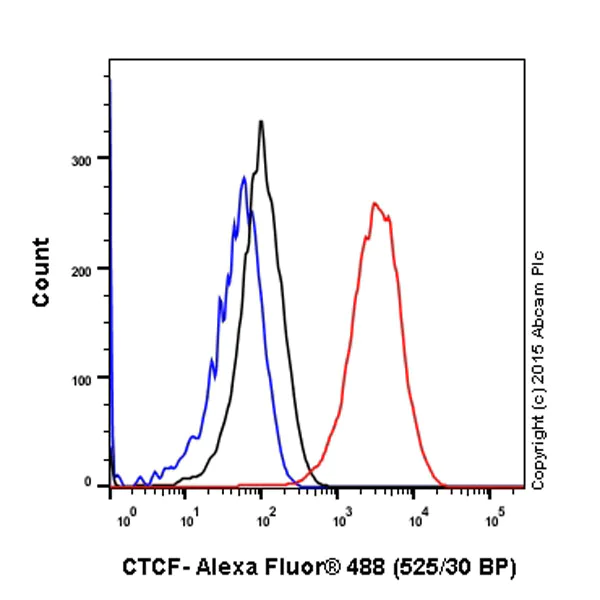 Flow Cytometry (Intracellular) - Anti-CTCF antibody [EPR7314(B)] - ChIP Grade - BSA and Azide free (AB240035)