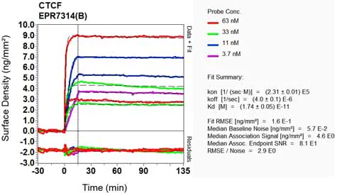 OI-RD Scanning - Anti-CTCF antibody [EPR7314(B)] - ChIP Grade - BSA and Azide free (AB240035)