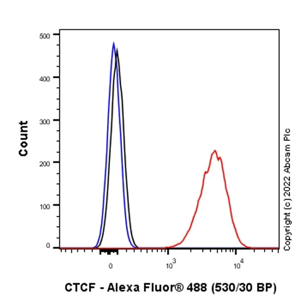 Flow Cytometry (Intracellular) - Anti-CTCF antibody [RM1044] (AB300639)