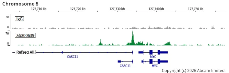 ChIC/CUT&RUN sequencing - Anti-CTCF antibody [RM1044] (BSA and Azide free) (AB300640)