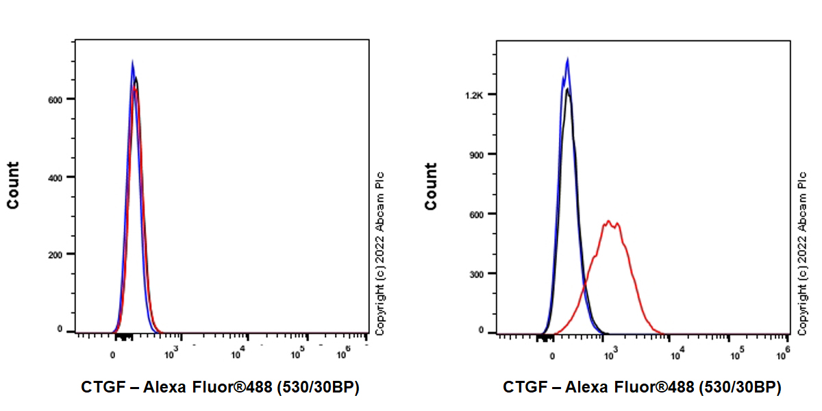 Flow Cytometry (Intracellular) - Anti-CTGF antibody [EPR26521-6]- BSA and Azide free (AB305034), expandable thumbnail