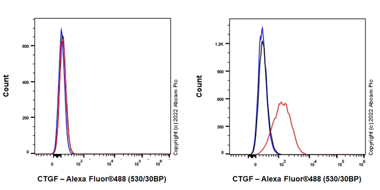 Flow Cytometry (Intracellular) - Anti-CTGF antibody [EPR26521-6]- BSA and Azide free (AB305034)